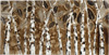 ART. 02171 FOGLIE VERE E FINITURA LUCIDA