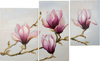 ART. 03179 QUADRO MAGNOLIA